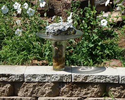 DSCN1038.JPG