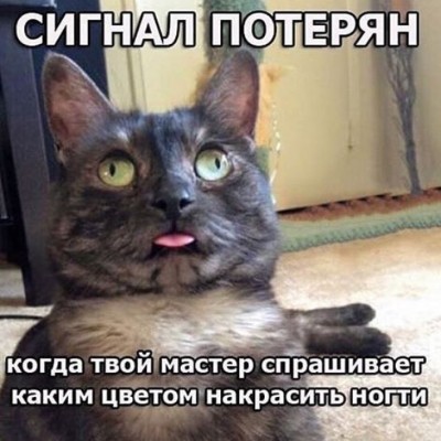 IMG_6643.JPG