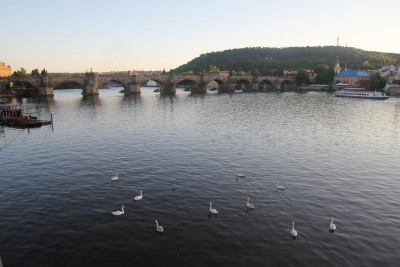16744769130_e2253b9070_k.jpg