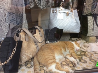 2016-09-14 17-43-12.JPG