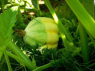 DSCN7813.JPG