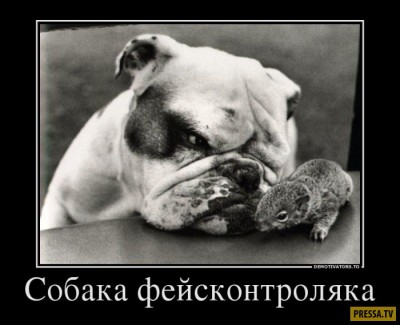 original-1.jpg