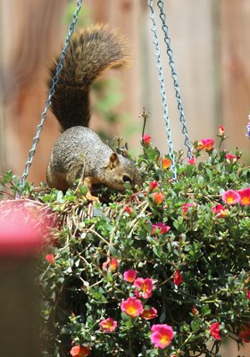IMG_9330.JPG