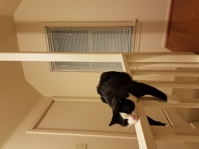 20160912_203458.jpg