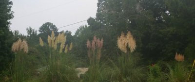 CameraZOOM-20170828190639318.jpg