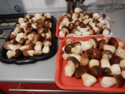 DSCN5280.JPG