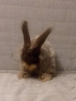 20170706_002543.jpg