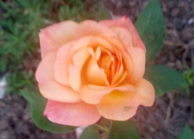 CameraZOOM-20171015192405485.jpg