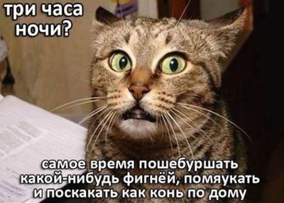 Capture4.JPG