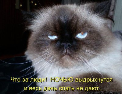 Capture5.JPG