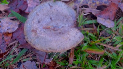 20171108_134124.jpg
