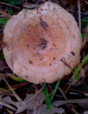 20171108_140043.jpg