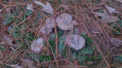 20171108_134356.jpg
