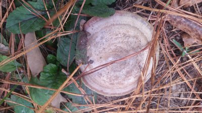 20171108_134414.jpg