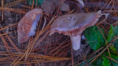 20171108_134509.jpg