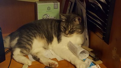 20170320_153907.jpg