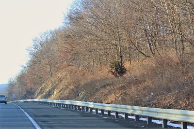 IMG_8342 (2).JPG