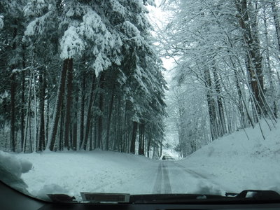 DSCF7835.JPG