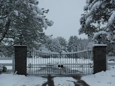 DSCF7845.JPG