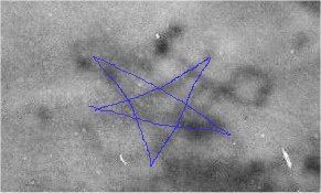 Tatu3.jpg