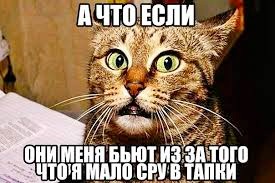 WhatsApp Image 2018-04-09 at 8.14.43 AM.jpeg