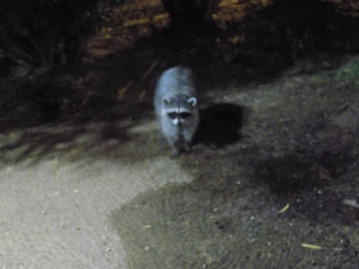 DSCN6034.JPG