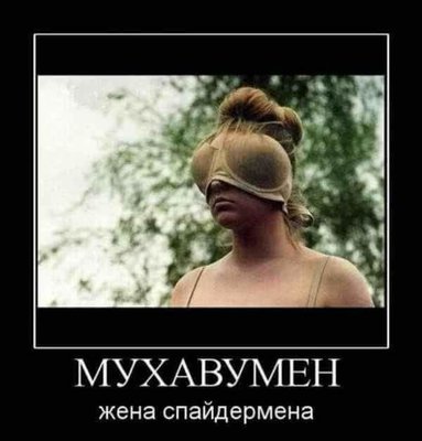 FB_IMG_1526662255613.jpg