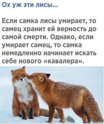 32547233_478505305900187_189469153663385600_n.jpeg