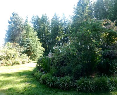 DSCN0241.jpg
