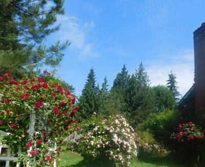 DSCN0416.jpg