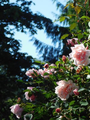 DSCN5769.jpg