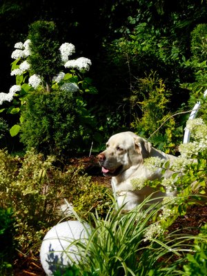 DSCN1183.jpg