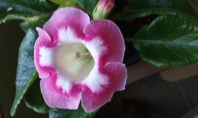 20180727_111003.jpg