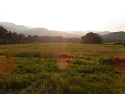 DSCF8478.jpg
