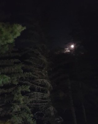 20180828_223550.jpg