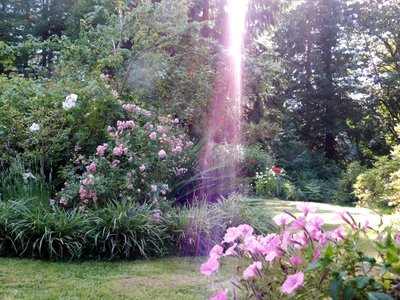 DSCN0901 (1).jpg