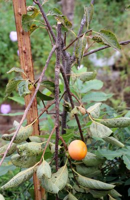 IMG_1317.JPG