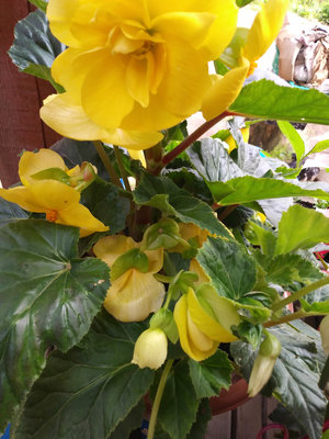 20180723_121727.jpg