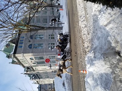 20171226_115105.jpg