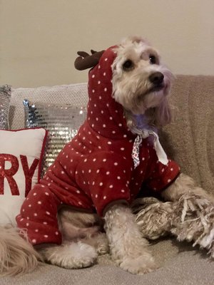 WhatsApp Image 2018-12-10 at 7.59.55 PM.jpeg