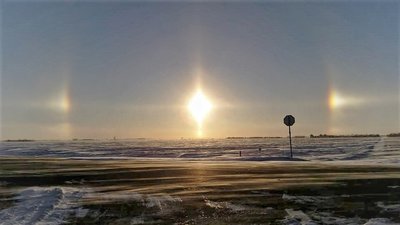 sundog2 (2)-01.jpeg