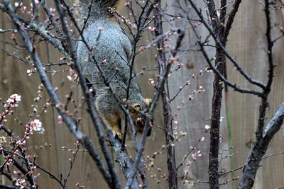 IMG_6728.JPG