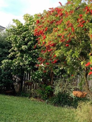 0-02-01-01cd546892d87e6ad1ec3ee4ab1b46bc1d41a2adc9a30cf8c024736613376e1c_7bafa5d4 (2).jpg