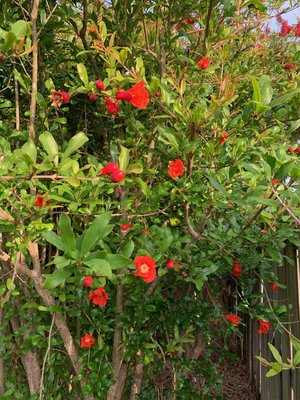 0-02-01-d686ed18e5e5c3e8723f57a31ede9cf884d9483a7c8ab8f42558bc47d2910164_8f939c73 (2).jpg