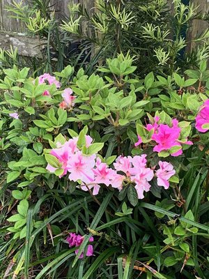 0-02-01-e803623bd7d12973180b8751dabf9ae62f62dba2a7ff232324470f0eb8153b0e_be100393 (2).jpg