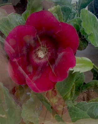 20190405_152744.jpg