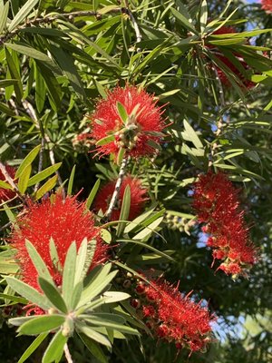 0-02-01-898e722e5b7a6c20018fe07d8df688959cc92c4bf8bd39ac79653bcf5c1a3095_6b7a66c2 (2).jpg