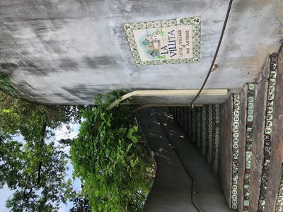IMG_4123.jpeg