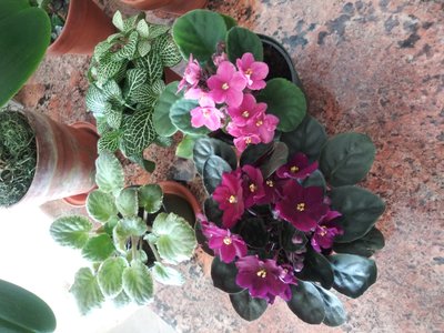 20190421_163908.jpg