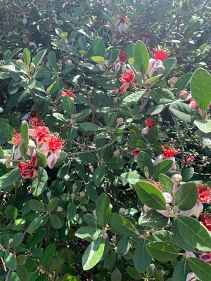 0-02-01-5b85f990f8899f284b9c770bc73034e4dab67c72febd2fb6f05a63ab3064c9f8_98be6e6a (2).jpg